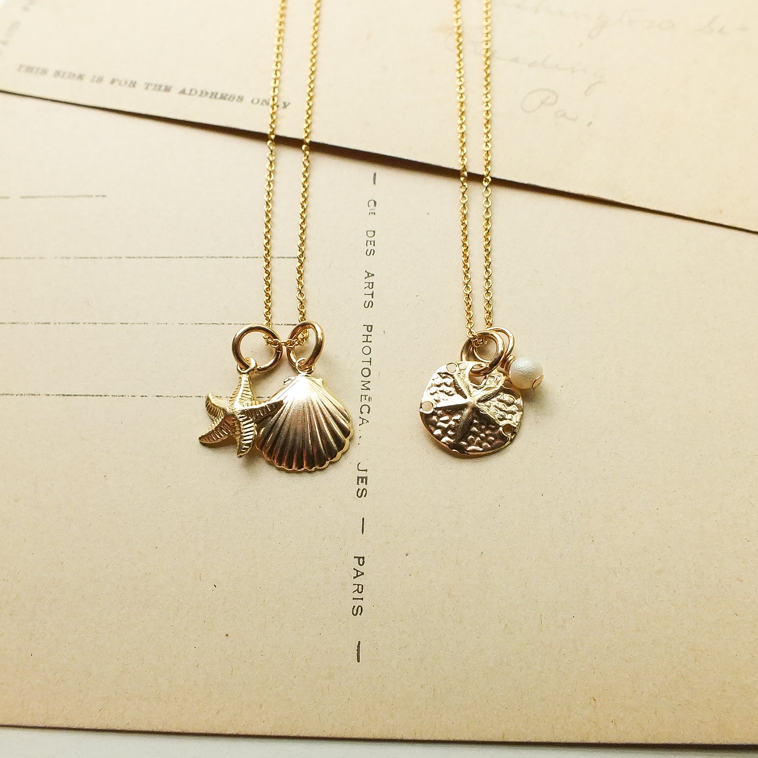 Sand Dollar Sea Necklace